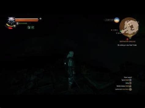 witcher 3 ekimmara hide